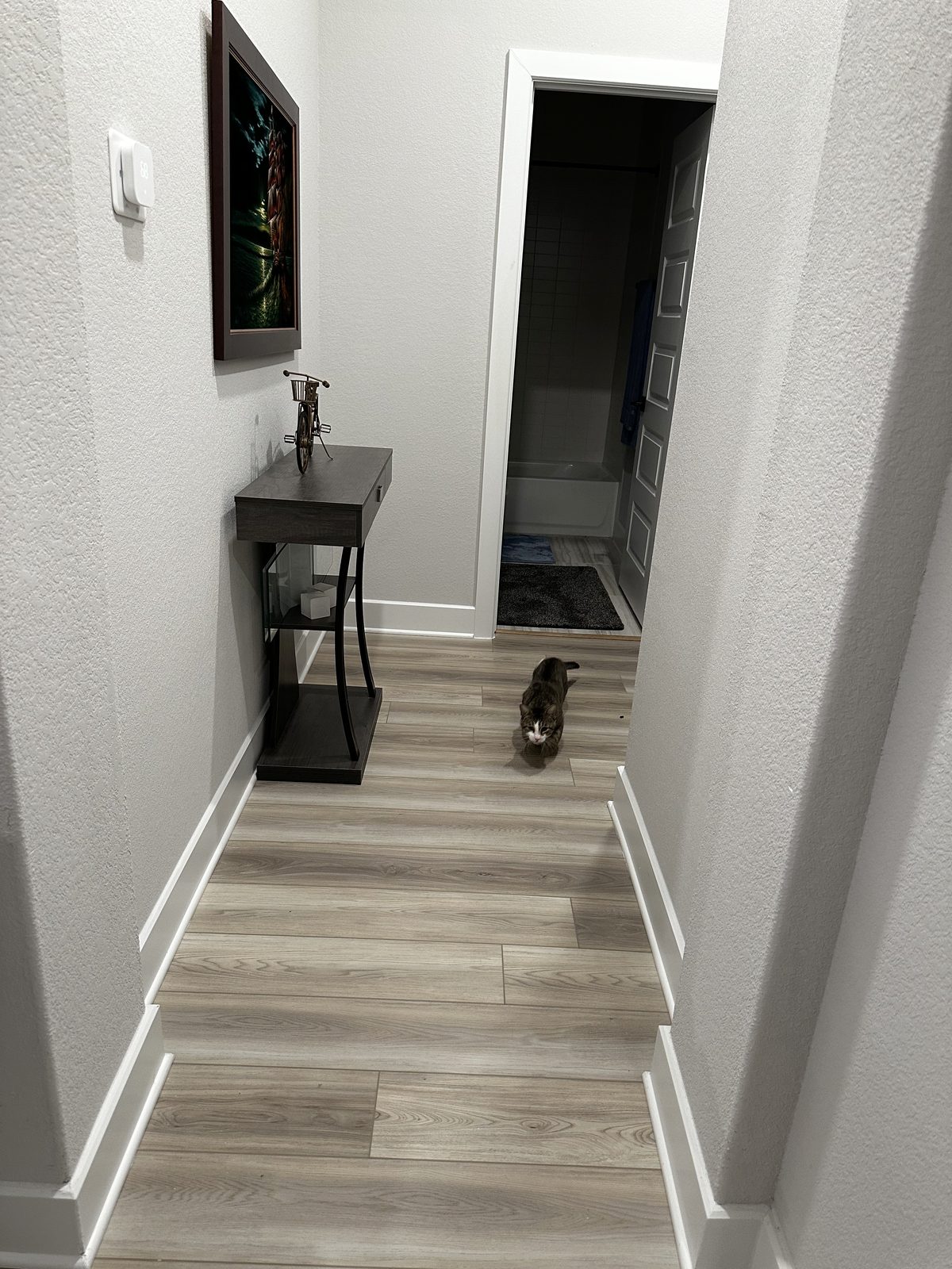 Garnet crouched low in the hallway with his ears back, a week after arriving.