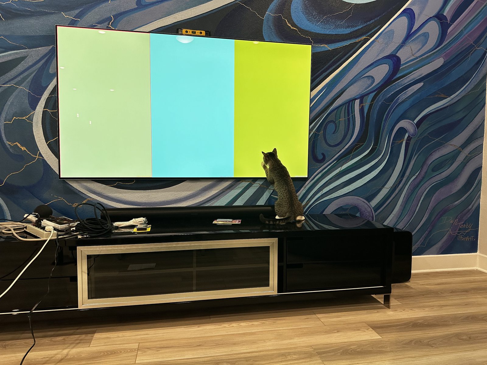 Garnet up on the media console with a paw on the television, colour bars on the screen.