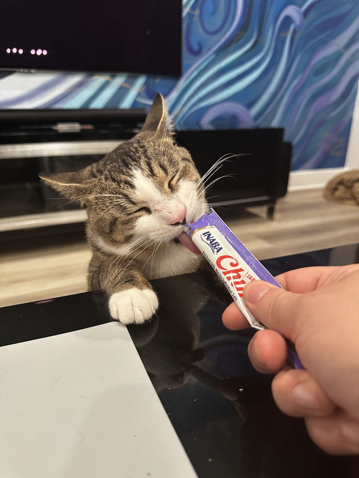 Garnet licking a squeeze treat straight from the tube in Ernie's hand.
