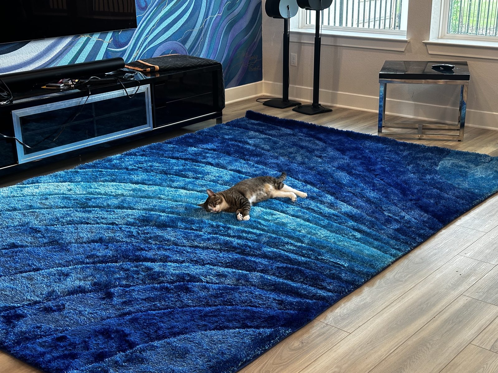 The same moment from across the room, Garnet alone in the middle of the new rug.