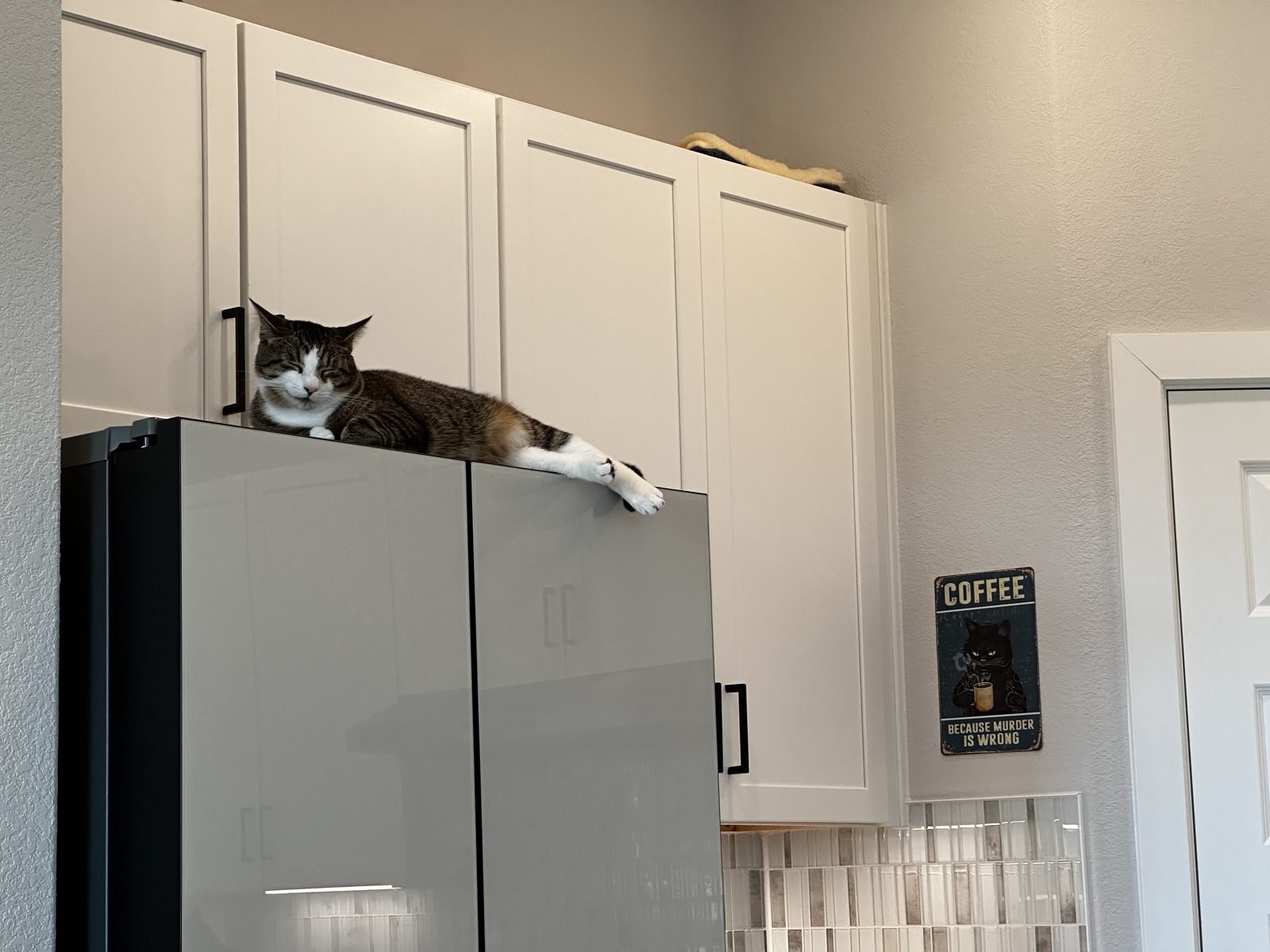 Garnet dozing on top of the fridge with one white paw over the edge, below the kitchen cabinets.