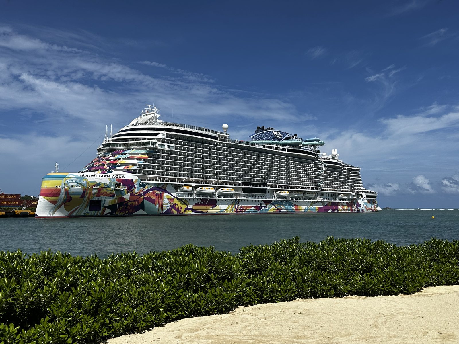 The Norwegian Aqua seen over a hedge from the beach at Puerto Plata.