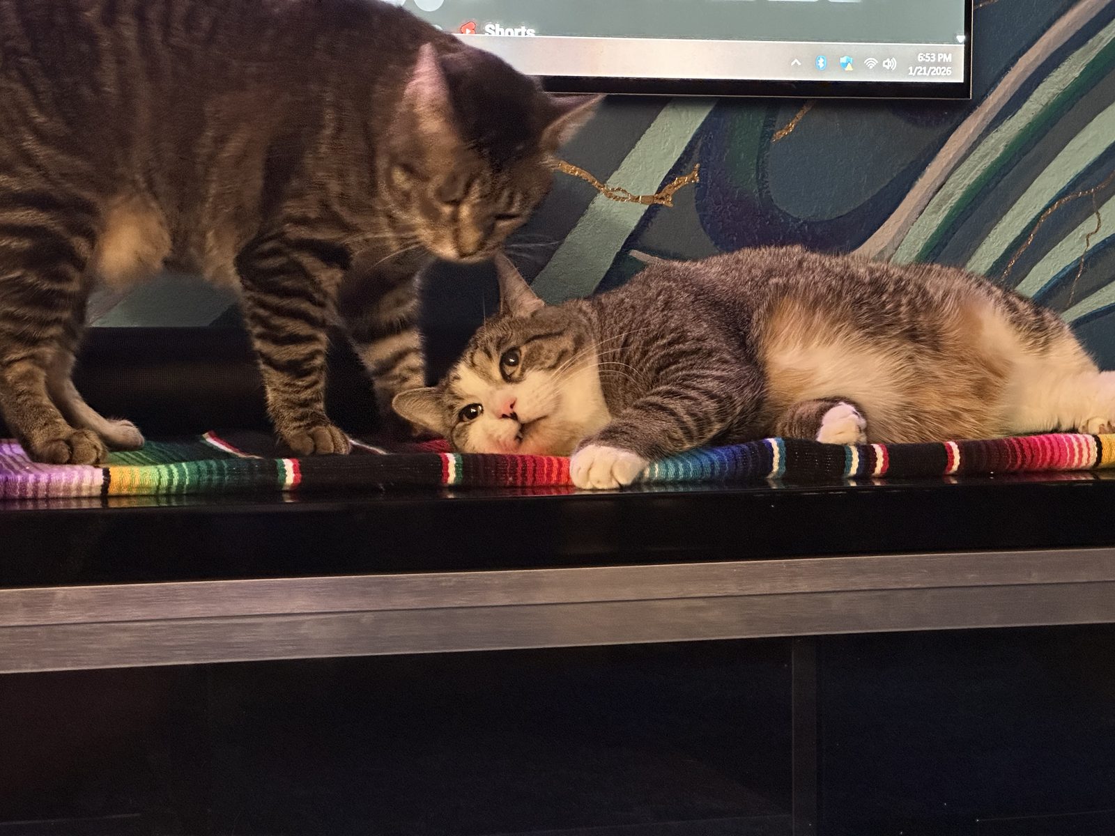 Jasper standing over Garnet, who is sprawled on a striped runner along the media console.
